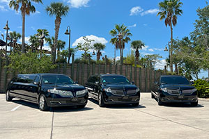 Limo Service to Disney from SFB